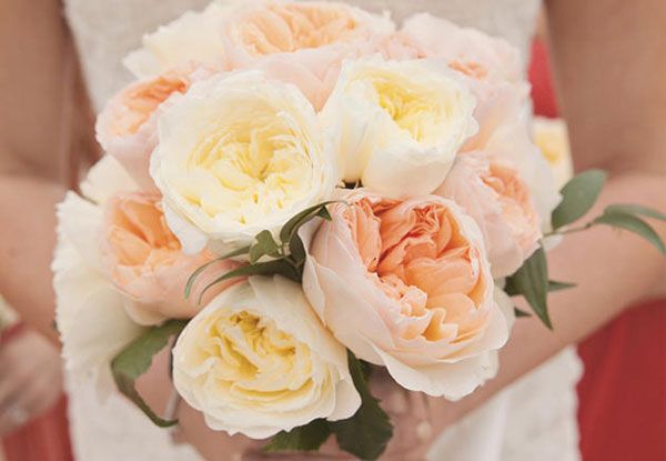 flower-5137-1393232141.jpg