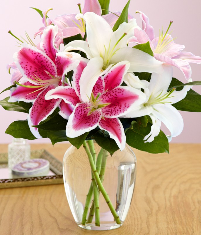 Hướng dẫn cách cắm hoa ly đẹp và sang trọng cho ngày 8/3 | Phụ nữ ngày nay