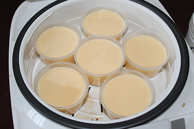 Bánh flan sữa dê: ngon & bổ dưỡng cho trẻ, Ẩm thực,