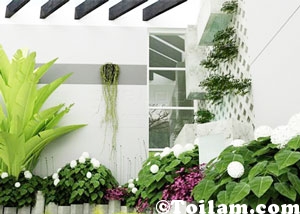 ánh sáng,nội thất,tự nhiên,có thể,giếng trời,trong nhà,sử dụng,thiết kế,giải pháp,ngôi nhà,không gian,mở cửa,kính,thiet ke nha,thiet ke nha dep,thiet ke nha xinh,ánh sáng,vào,nhà,cường,trong,việc,thông,sáng,được
