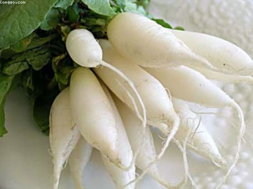 Nên ăn gì khi bị cảm cúm