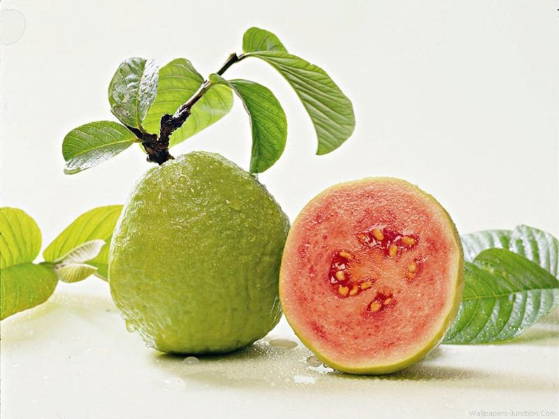 làm đẹp từ lá ổi