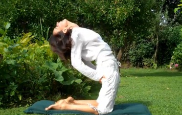 Yoga trẻ hóa - hình minh họa 5