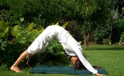 Yoga trẻ hóa - hình minh họa 2
