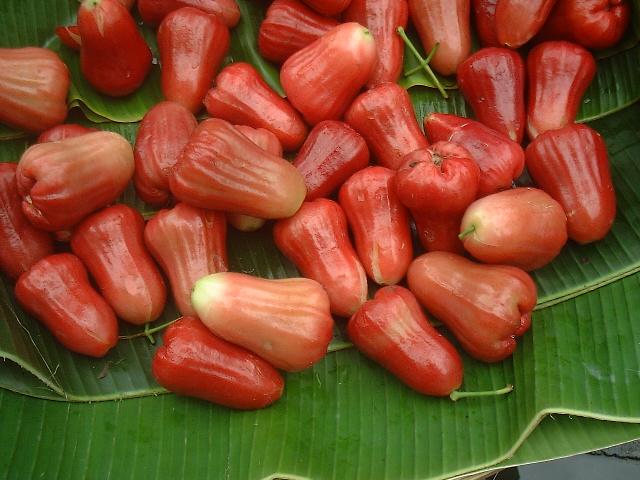 mận ngọt ( quả roi )