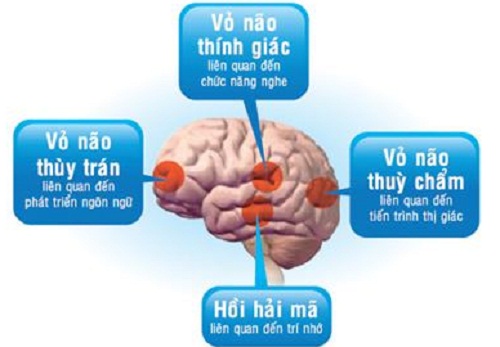Những bài tập đơn giản giúp phát triển trí não trẻ 2 Những bài tập đơn giản giúp phát triển trí não trẻ 2