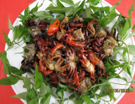 cua đồng miền Tây - hình minh họa 3