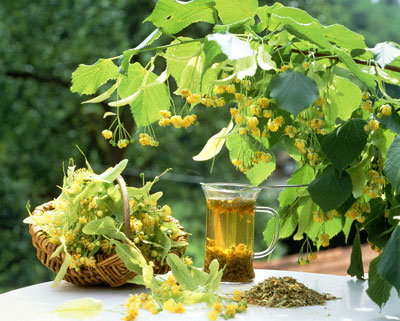 Bí quyết thanh nhiệt cơ thể và - hình minh họa 2