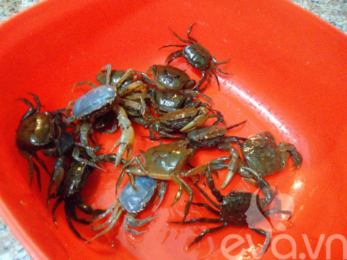 nau-canh-cua-bi-xanh-mon-canh-ngon-cho-mua-he-1